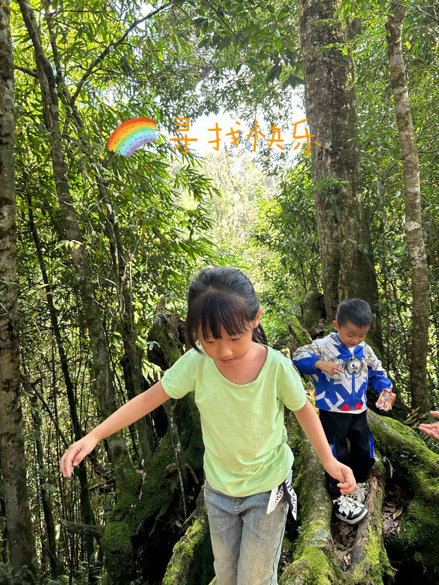 旅途中的快樂來自～屏邊瀑布、大圍山