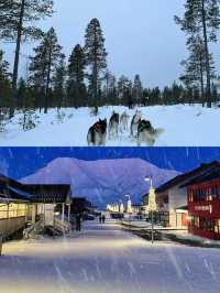 芬蘭挪威 7天追極光·住ins玻璃屋·極光列車極光季又到咯