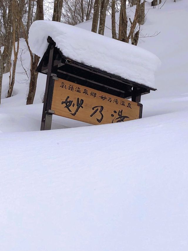 沉浸在雪中的溫泉東北秋田溫泉旅館