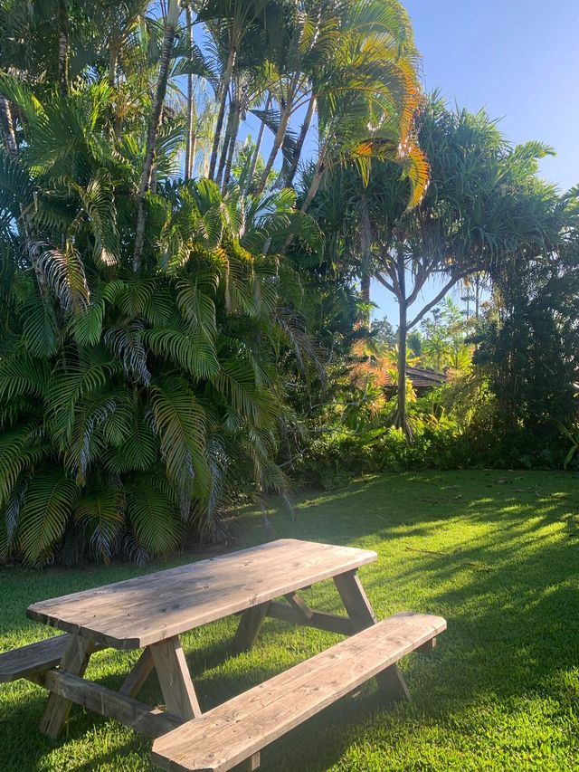 我決定逃離寒冷的城市，來到夏威夷的可愛島，享受一段美好的假日