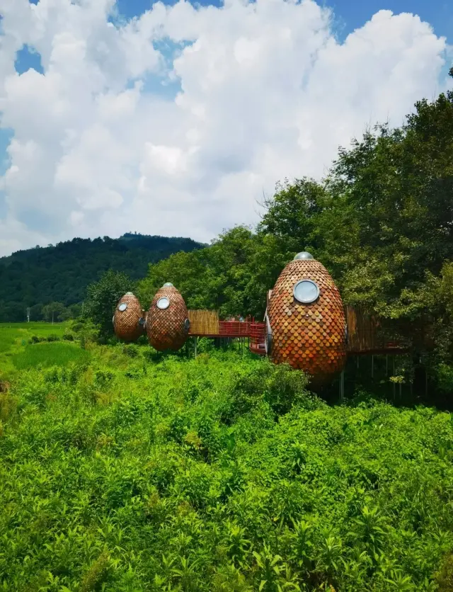 Jingdezhen Yaoli Scenic Area Ant Hostel