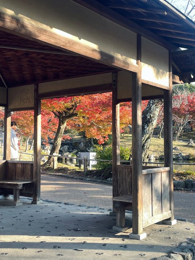 京都圓山公園 日式風格園林