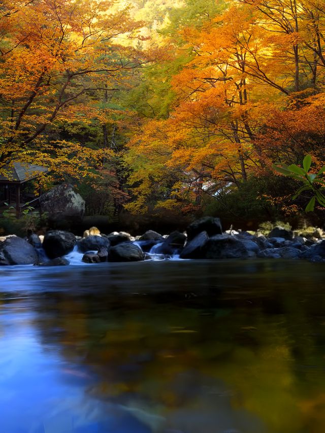 光霧山紅葉之旅：感受秋天的視覺盛宴