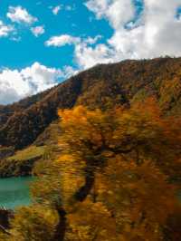 不想去光霧山的，來這個小眾免費的彩林盛景
