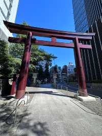Tokyo, trip of a lifetime. A dream come true