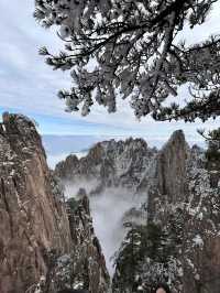 張萬森，黃山下雪了，快來看