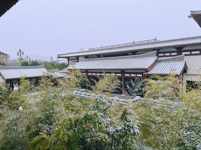 大雁塔旁的寶藏酒店