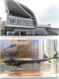 鄱陽湖博物館·集娛樂和科普於一體的博物館