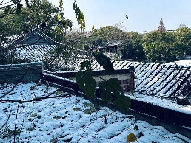 南京本地人才知道的小眾公園，就在秦淮河畔