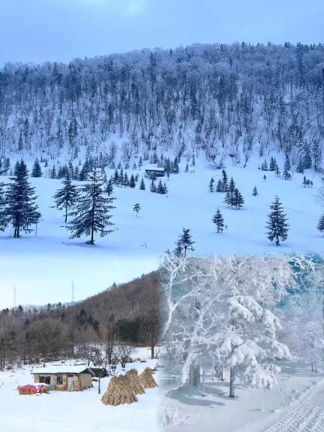 ハルビン雪渓｜雪の町に行けないわけではなく、雪渓の方がコストパフォーマンスが高いです