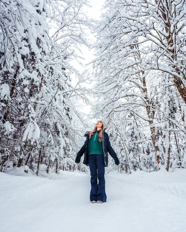 My Kinda Winter ❄️: Embracing the Unexpected Snowfall in Salzburg, Austria