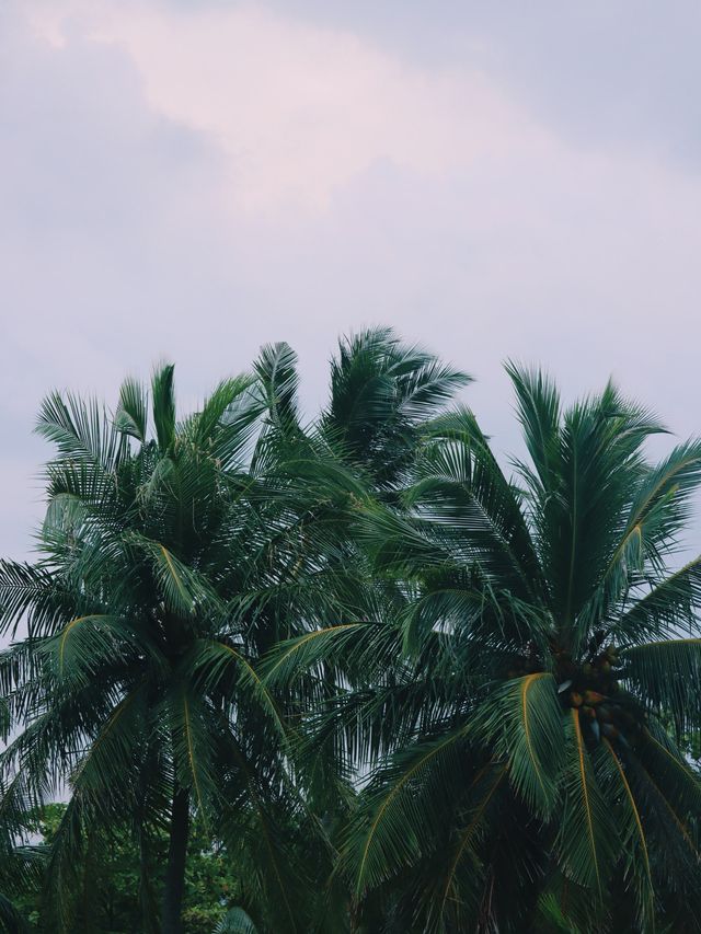 Thulusdhoo Island, Maldives 🇲🇻🏝️