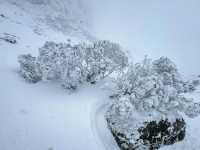 雲南|這兩天的驕子雪山，美的不像話！