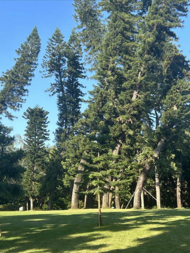 誤入仙境-廈門植物園