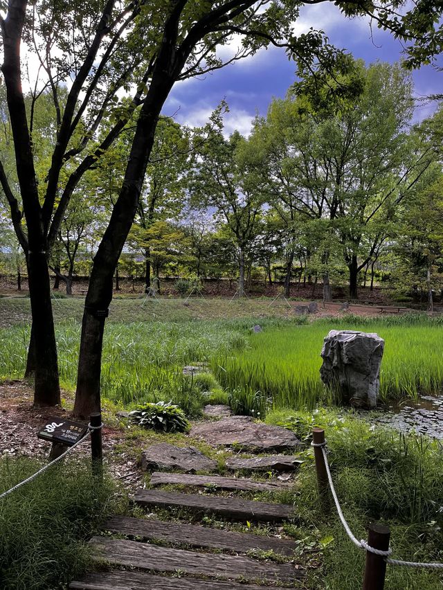 充滿春天氣息韓國道路工程全州植物園