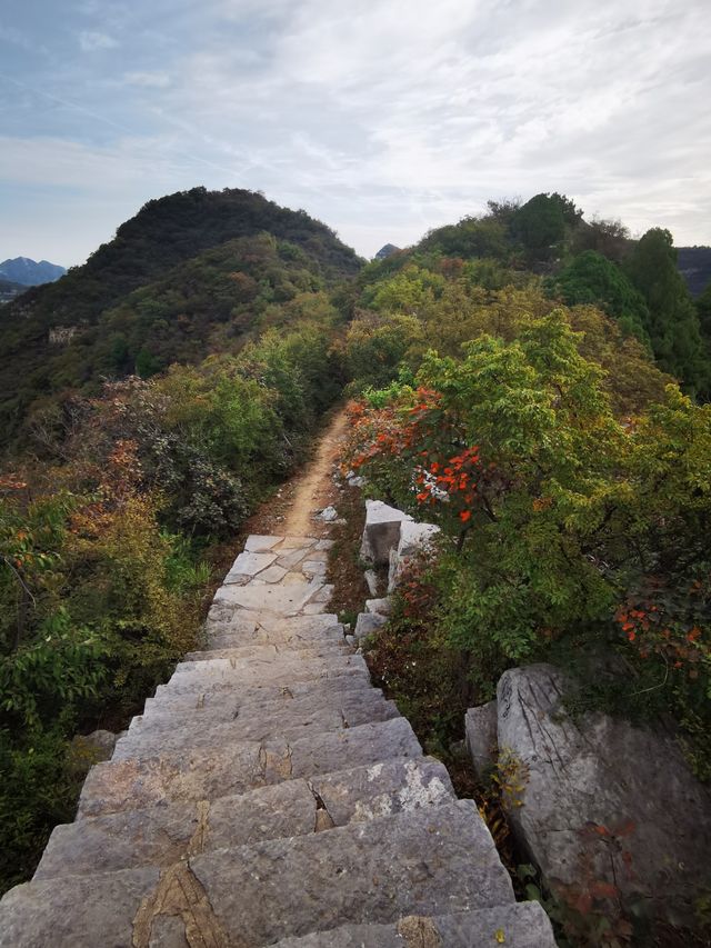 仙台山位於河北省石家莊市井陘縣境內，是國家森林公園，景區面積大，遊覽設施全，景色風光美，有奇缺植被、