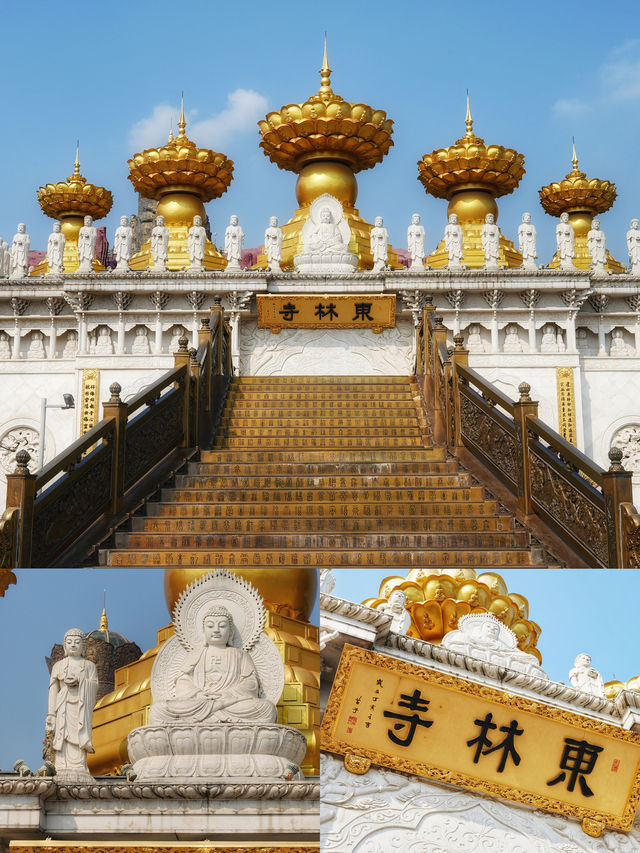 上海魔幻寺廟｜東林寺