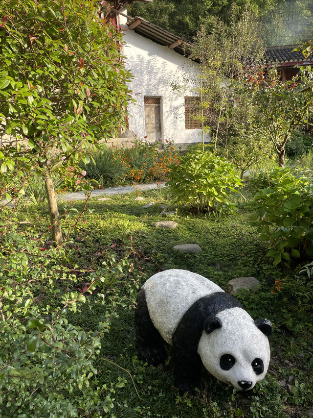 國慶反向旅遊！隴南這幾個小眾城市景色不輸國外