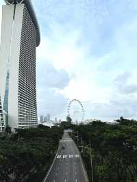 新加坡國家美術館之最適合CityWalk的城市
