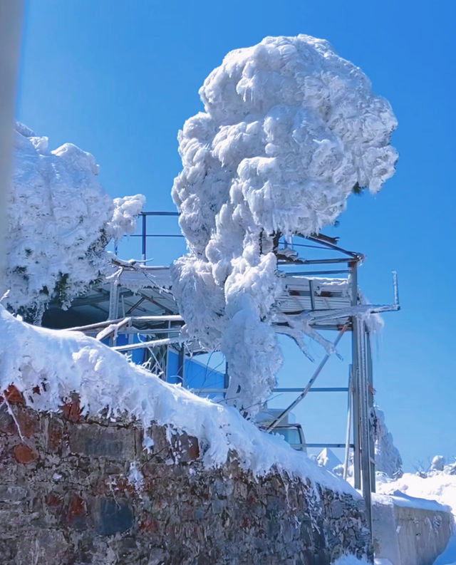 今年冬天第一場雪｜想和誰去艾特誰