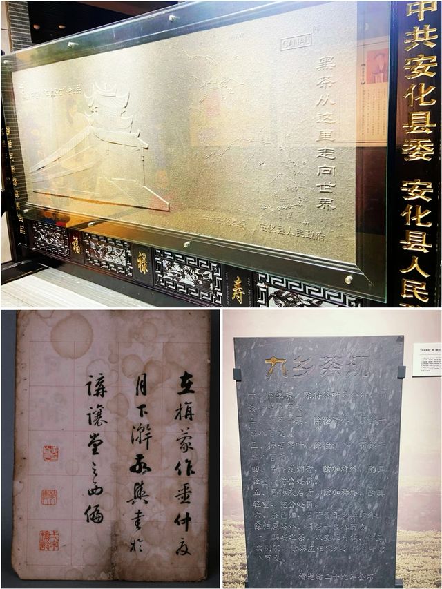 安化中國黑茶博物館，探尋黑茶文化！