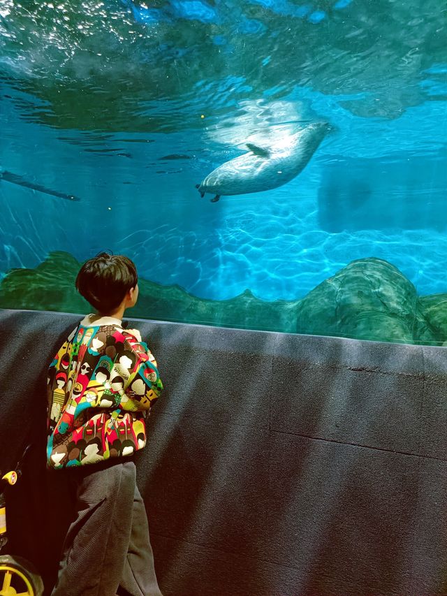 上海海洋水族館20歲啦！