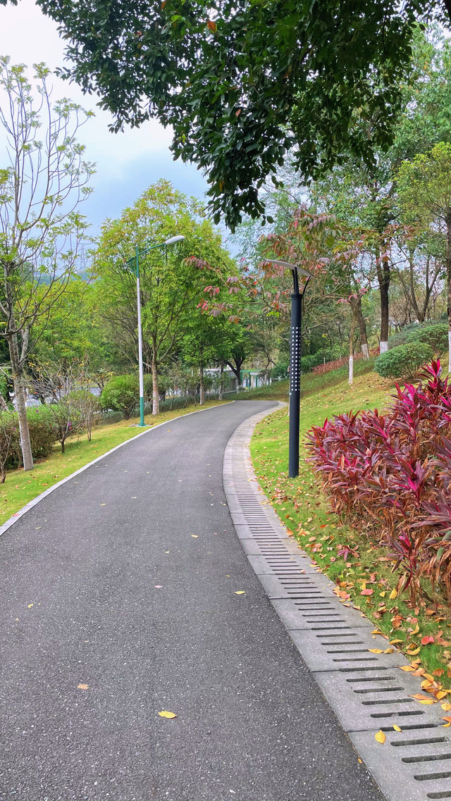 週末戶外新發現黃埔科學城環山公園