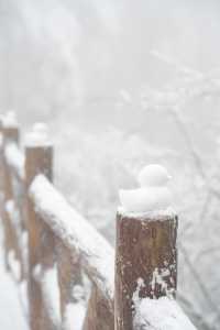 瓦屋山！我願稱之為川內1天往返玩雪天花板！