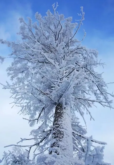 越是艱險越向前：牡丹江“藝術小鎮、林海雪原”歡迎您