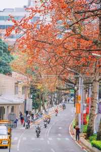 廣州拍照·離開廣州前一定要去一次陵園西路！