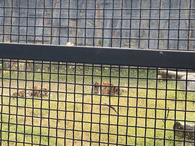 在武漢·武漢動物園新手入園攻