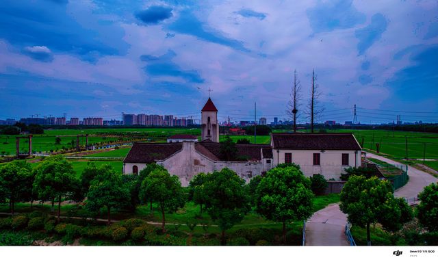 禾下乘涼夢，稻田與晚風