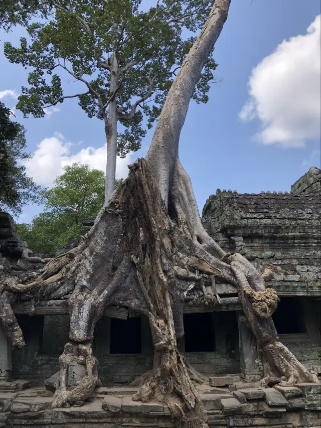 A guide to mastering the small, big, and outer circles of Angkor Wat in 3 days