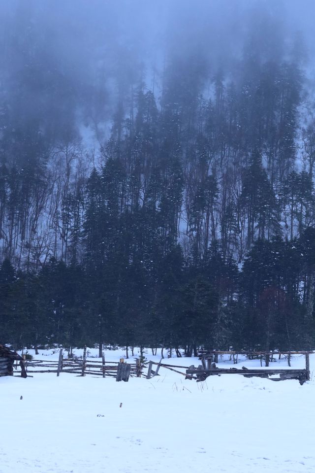 探索香格里拉，領略高原風情的神奇之旅！