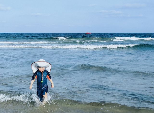 海陵島｜帶娃去挖貝殼