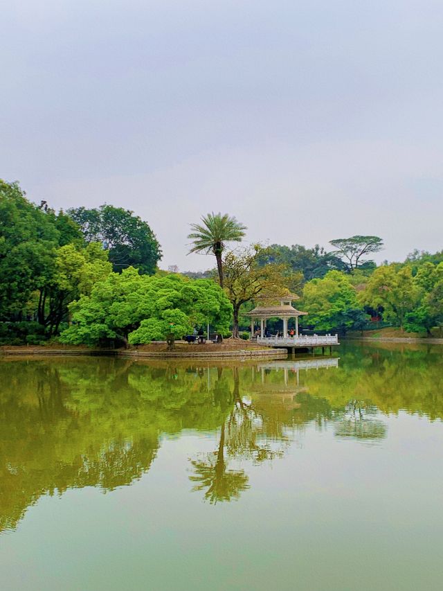 就在天河公園淺淺散個步吧