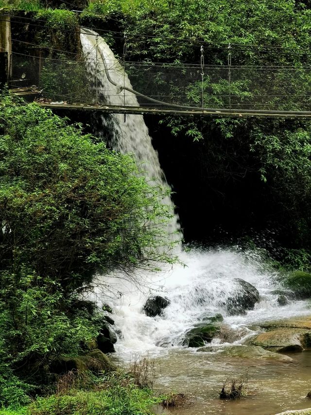 探尋大邑馬橋村