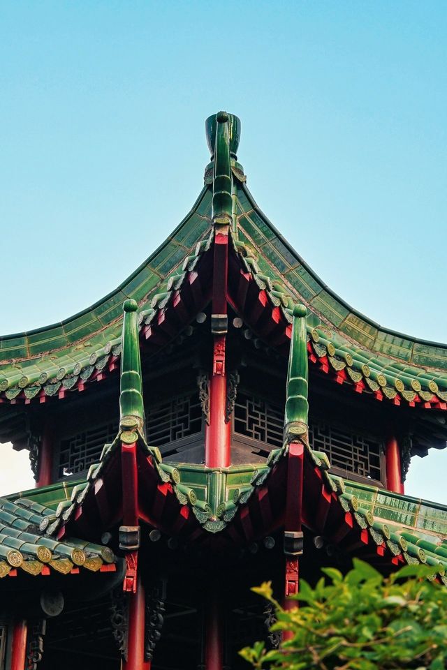 深圳｜ 市中心的一片寧靜！