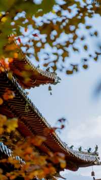 秘境平武｜白馬王朗——報恩寺||平武兩日遊