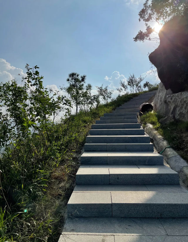 珠海黃楊山森林公園：戶外探險與徒步旅行的理想去處！