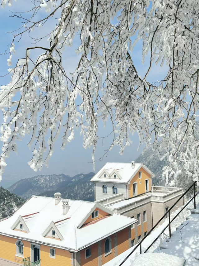 打卡雪後的廬山真面目！