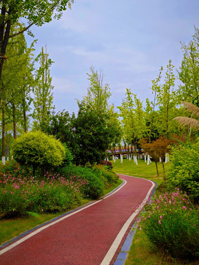 四川成都｜府河攝影公園｜帶上相機來這裡