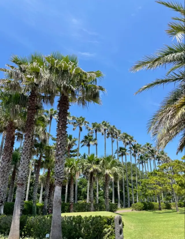 Jeju Island's Most Beautiful Park - Hallim Park