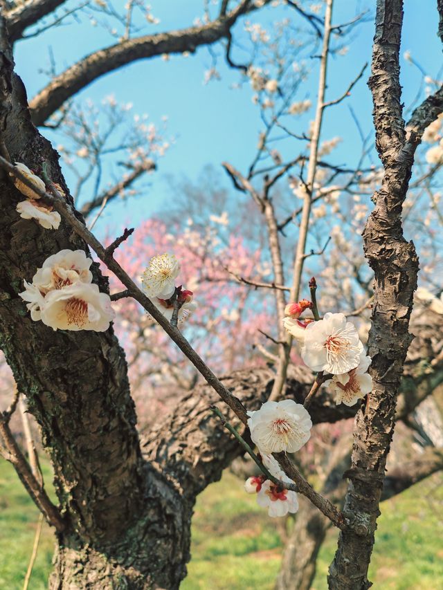 給點陽光就燦爛