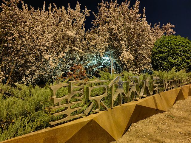 夜遊望京海棠花溪