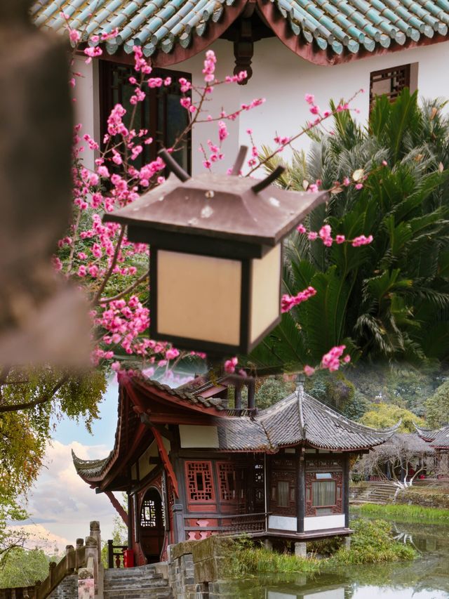 在成都丨唯一我想去無數次的公園！