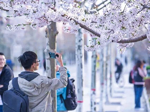 China University of Petroleum (East China) 🌺