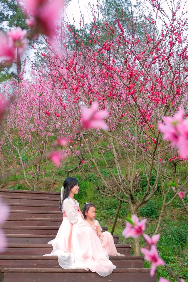 Chengdu Parent-Child Outing | Great Spring Outing Spots! Enjoy flowers and playtime all at once!