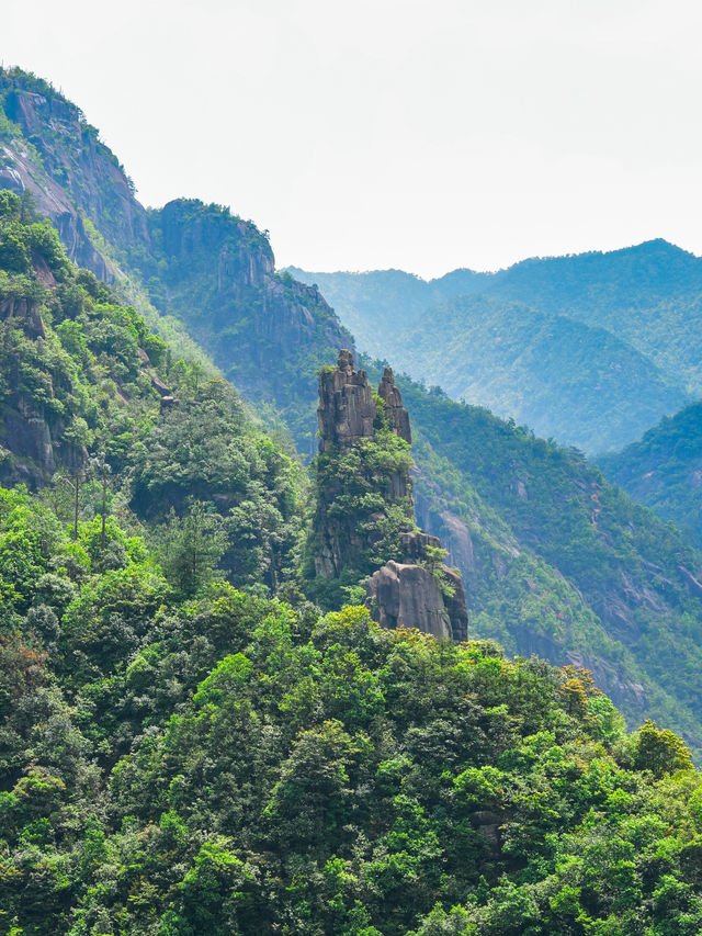 這不是新疆是麗水天然小眾徒步登山氧吧