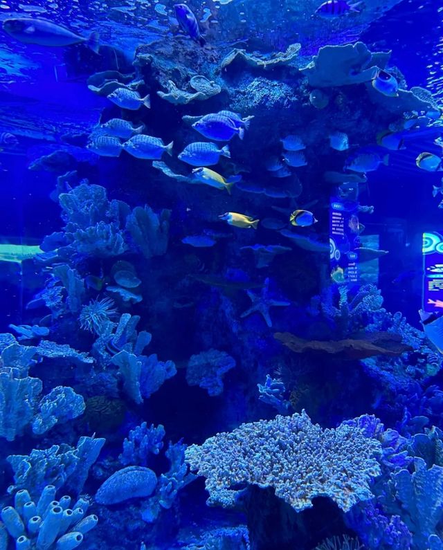 左海海底世界·長大後第一次來這兒玩～